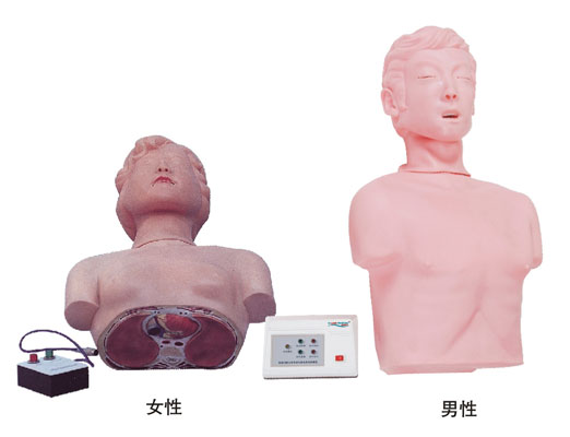 半身心肺復蘇訓練模擬人 KAS/CPR170 半身心肺復蘇訓練模擬人 KAS/CPR170